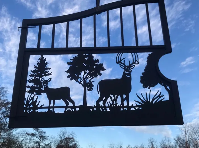 One leaf lifted against a blue sky, the cut panel reading as pure silhouette — a big buck beside a doe, a pine and a hardwood, palmetto and grasses — with the half-round notch for the medallion taken out of its inner edge.
