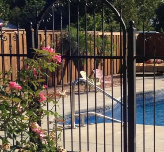 The arched pool gate seen through climbing roses, closed on its latch beside the pool deck.